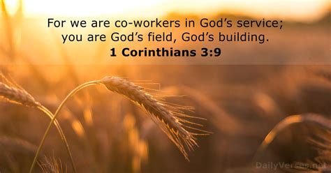 i corinthians 3:9 niv