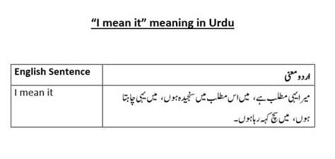 i found it meaning in urdu with example
