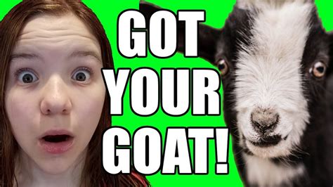 i got your goat