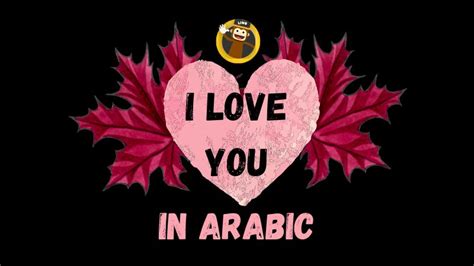 i love you arabic