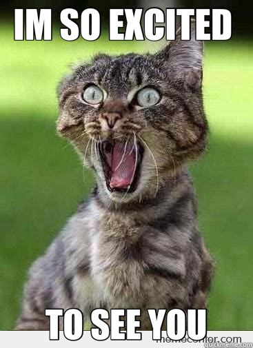i m so excited to see you quotes