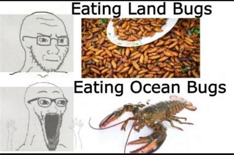 i will not eat the bugs meme