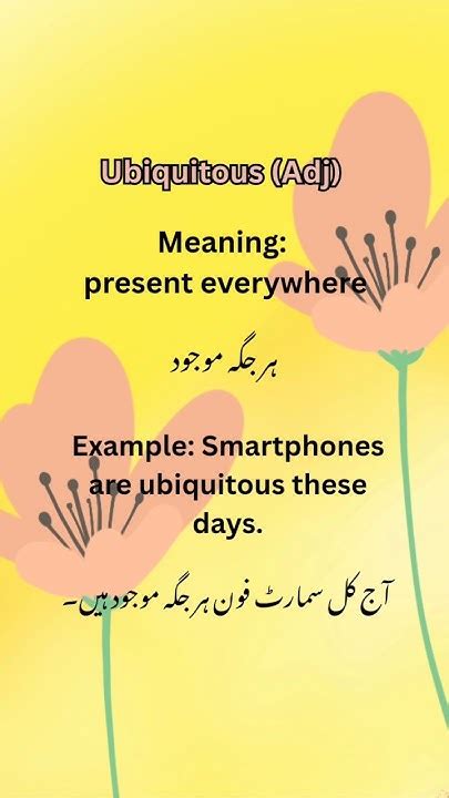 i would like meaning in urdu with example