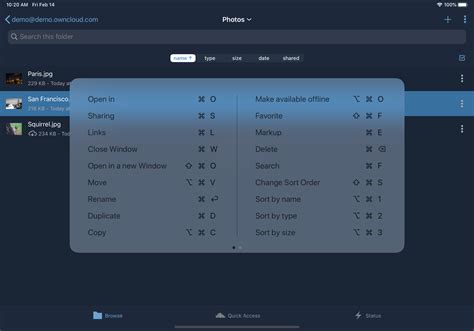 iOS: Keyboard support yes, mouse support no