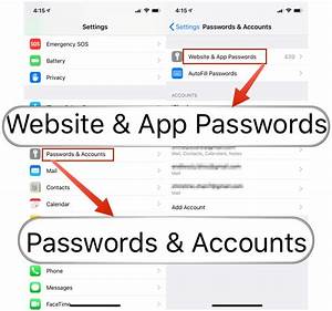 iOS 12 password manager