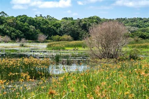 iSimangaliso biodiversity