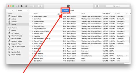 iTunes Library Access and Purchases