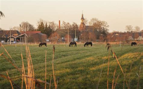 ibabs noardeast fryslan