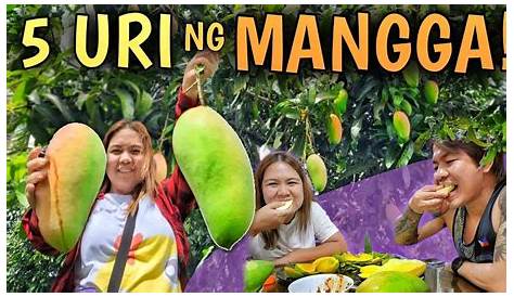 Mga Inaabangang Food Festival sa Pilipinas - Mabuhay Travel Blog