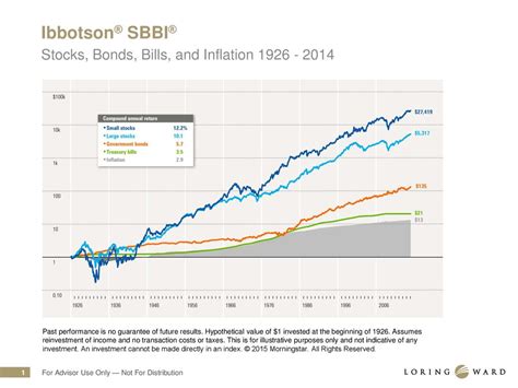 ibbotson large company stock index