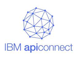 ibm api connect developer job description