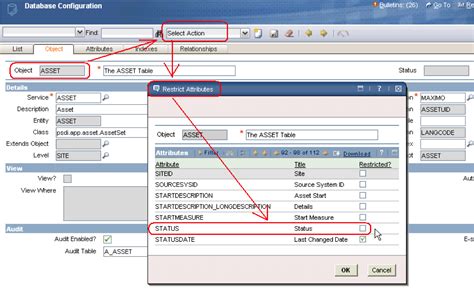 ibm maximo application suite pricing