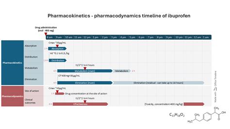 Ibuprofen Overdose Timeline