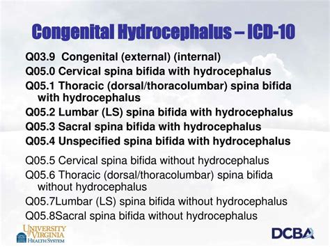 icd 10 cm code for spina bifida hydrocephalus
