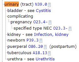 icd 10 sepsis due to urinary tract infection