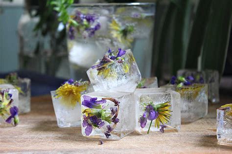 Ice Cubes In Flowers