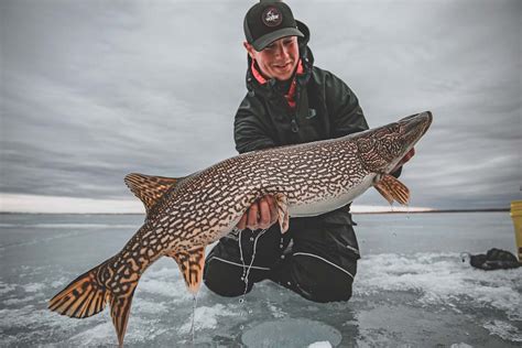 Ice Fishing Pike Depth