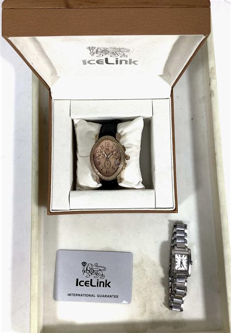 Ice Link Technology: Unlocking New Possibilities Today