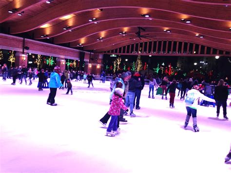 ice skating panorama city