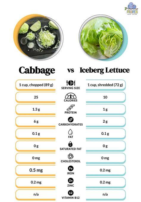 Iceberg and Cabbage Slaw Recipe Bon Appétit