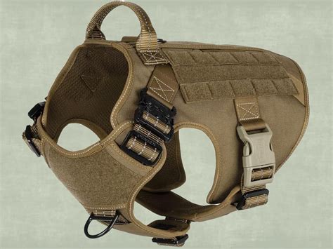 Icefang Dog Harness site