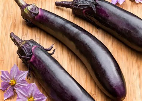 ichiban eggplants