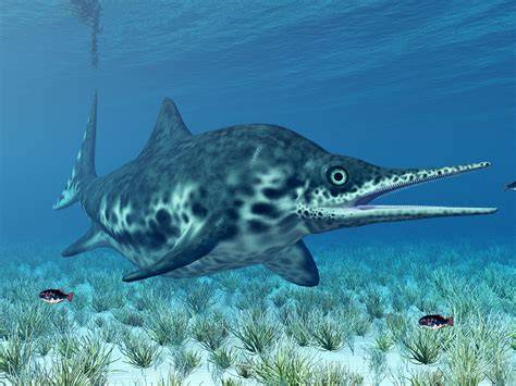 Aquatic Reptiles