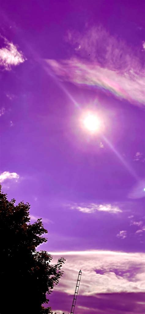 Icon Iphone Aesthetic Violet