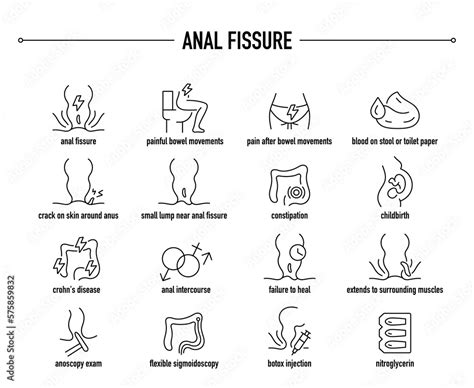 icons anal