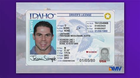 Idaho Code False Id