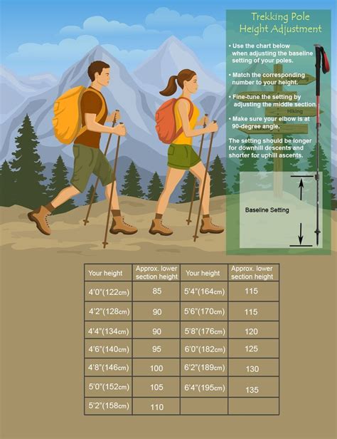 Ideal Trekking Pole Height