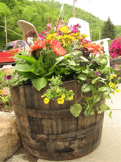 ContainergardeningIdeas Wine barrel planter, Container gardening