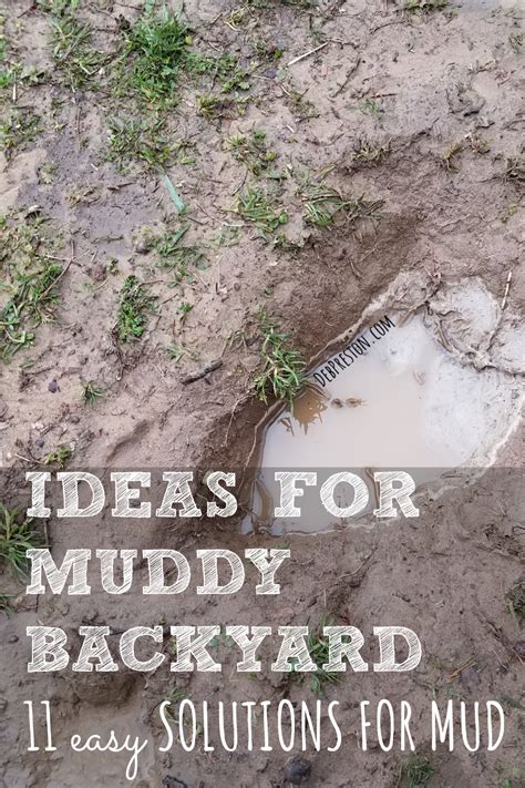 Ideas For A Muddy Backyard