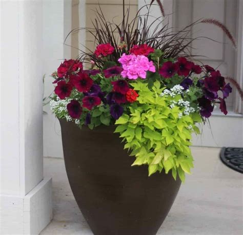 Ideas For Flower Pots