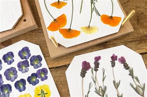 Ideas For Flower Press