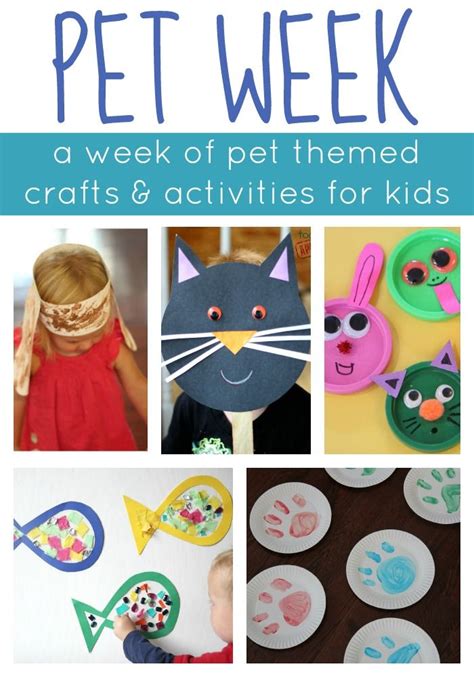 Ideas For Pet Week