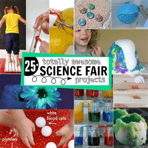 ideas for science expo