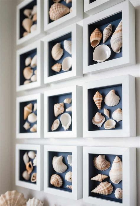 ideas for seashells display