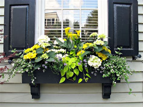 Ideas For Small Window Boxes