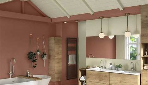 Idée décoration Salle de bain Couleur salle de bains