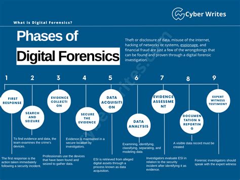identification phase in digital forensics