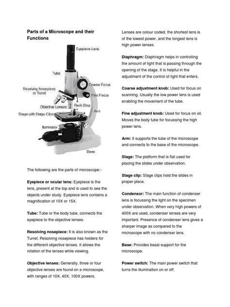 Identify Parts Of The Microscope And Their Functions Lesson Plan