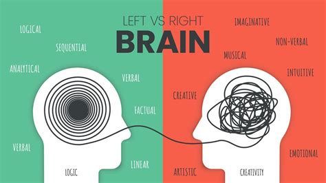 identify ways to improve learning using both the left and right brain