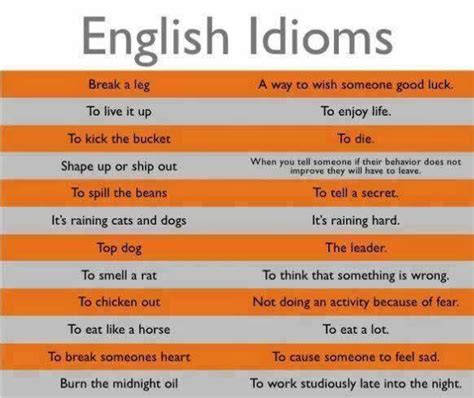 idioms you should know