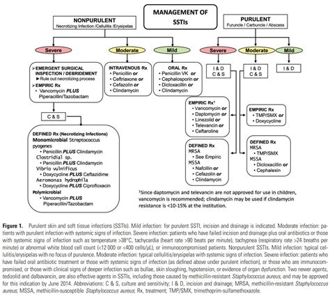 idsa guidelines for sepsis