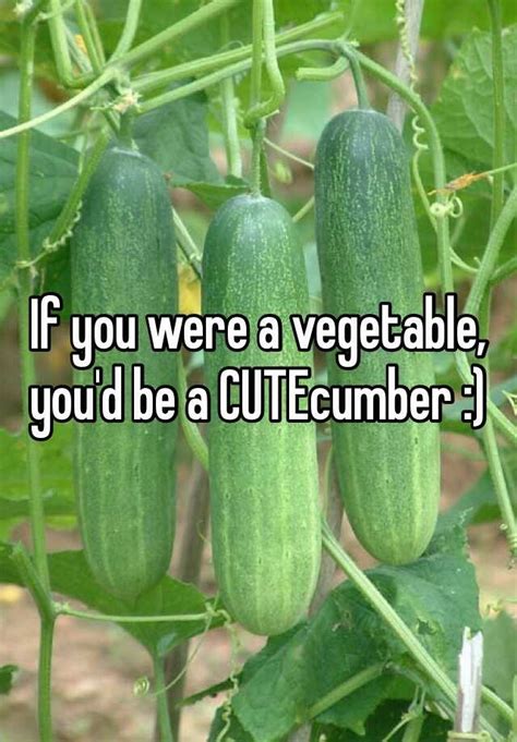 if you were a vegetable, you'd be a 'cute-cumber'