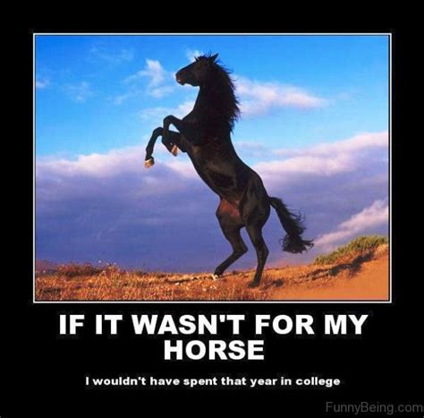 if it wasn't for my horse