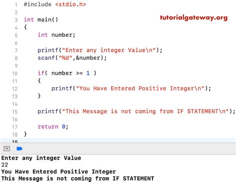 if statement in c programming examples pdf