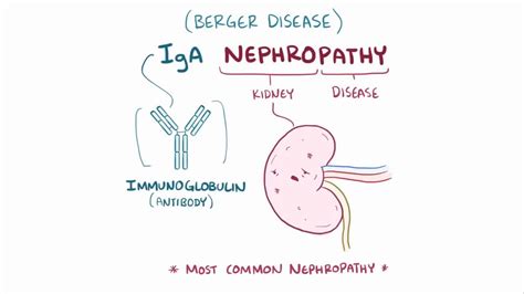 iga nephropathy and vaccines