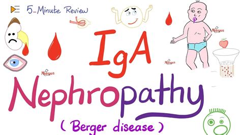 iga nephropathy berger's disease symptoms